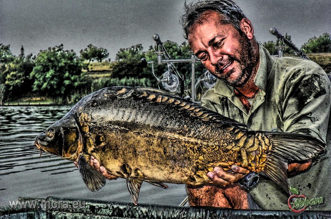 MeetCarp Romanian Awards 2013 - 1010084hdrmode2-2.jpg